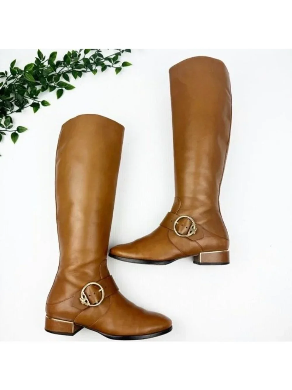 Tory Burch Sofia Riding Boots Hi Veg in Festival Brown Size 7